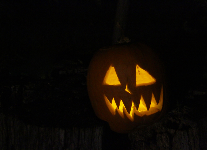 Happy Halloween! Photo by Bill Hubick.