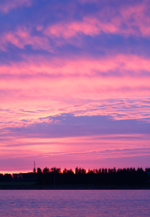 A view that Ruddy Ducks and Northern Shovelers must love. Hurlock WWTP at dusk (10/30/2010). Photo by Bill Hubick.