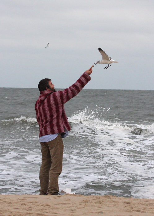 Jim Brighton bonding with the Laughing Gulls of the Ocean City Inlet, Maryland (11/1/2009). Jim Brighton bonding with the Laughing Gulls of the Ocean City Inlet, Maryland (11/1/2009).
